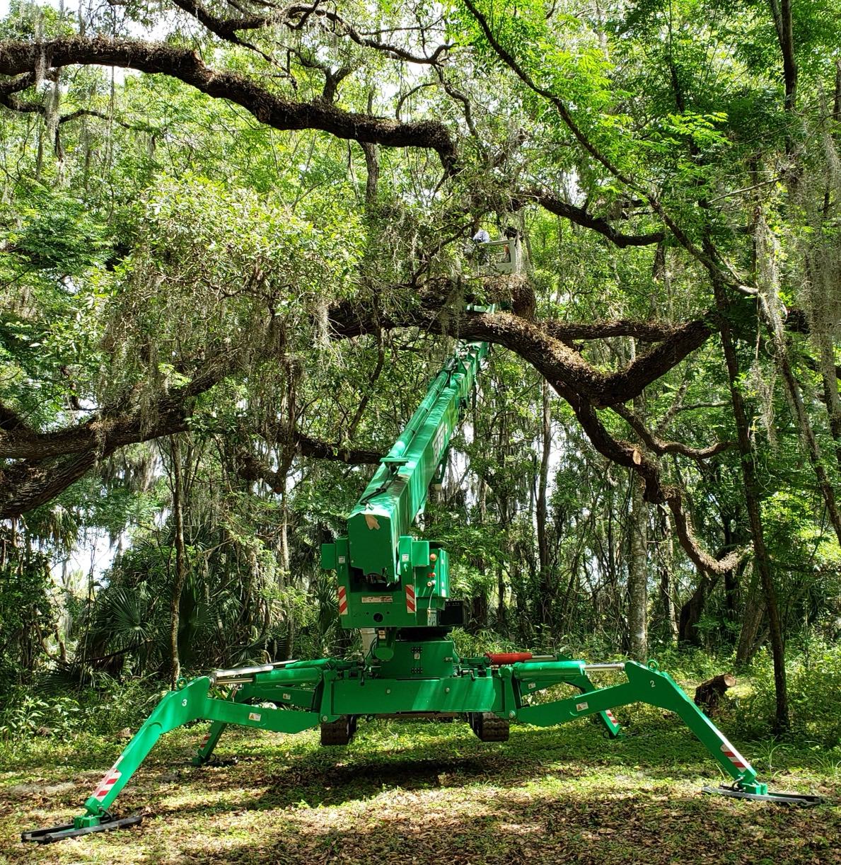 Compact aerial lift in use during a tree service job in Florida